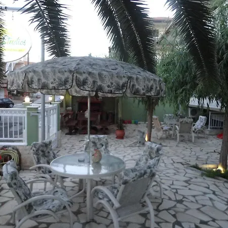 Phoenix By Tania סארטי