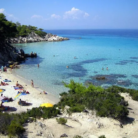 Phoenix By Tania * Sarti